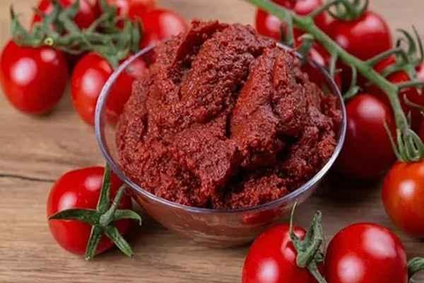 قیمت خرید رب گوجه فرنگی 800 گرمی اویلا عمده به صرفه و ارزان